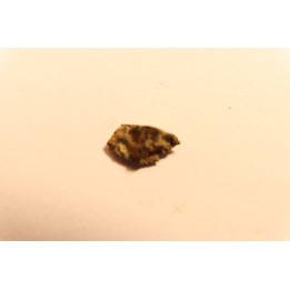 METEORITE CHONDRITE FRANCONIA - CHONDRITE H5 - ORIGINE: ARIZONA, USA