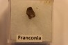 METEORITE CHONDRITE FRANCONIA - CHONDRITE H5 - ORIGINE: ARIZONA, USA