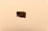 METEORITE CHONDRITE FRANCONIA - CHONDRITE H5 - ORIGINE: ARIZONA, USA