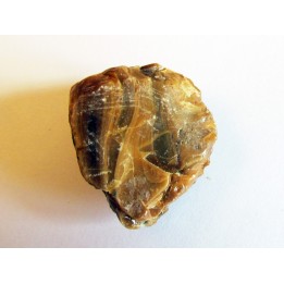 AMBRE fossile d'ARCHINGEAY (1)