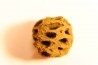 Metasequoia dakotahensis cone - upper cretaceous - hell creek fmt - Montana - USA