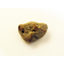 AMBRE fossile d'ARCHINGEAY (1)