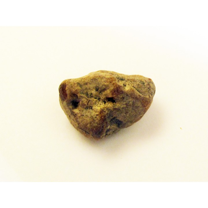 AMBER fossile d'ARCHINGEAY (1)