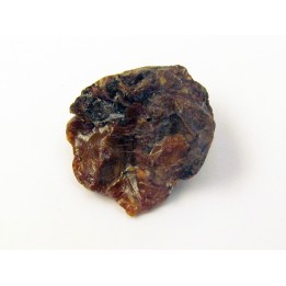 AMBER fossile d'ARCHINGEAY (3)