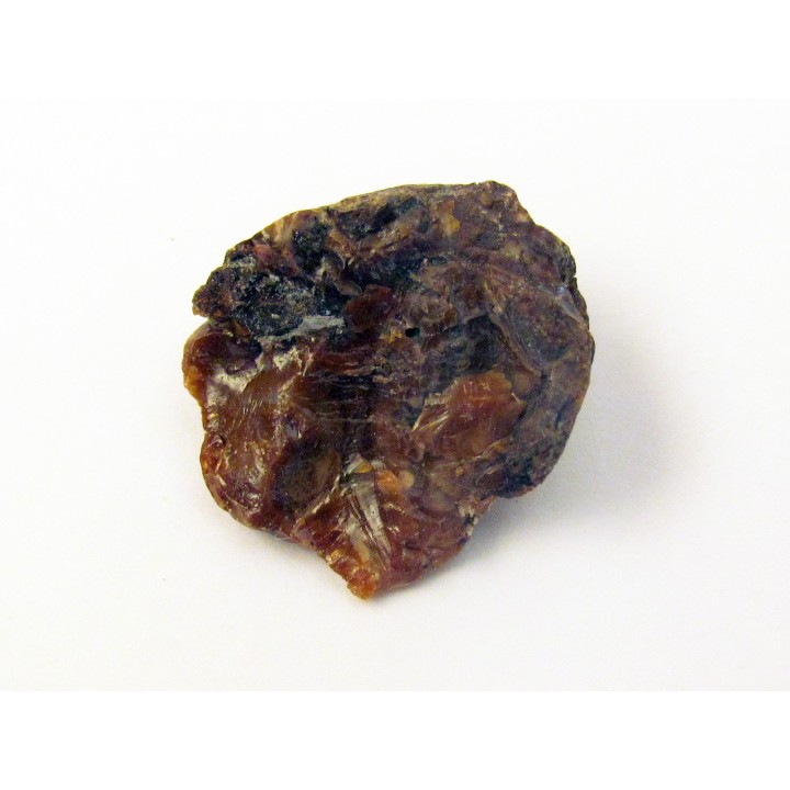 AMBER fossile d'ARCHINGEAY (3)
