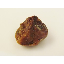 AMBER fossile d'ARCHINGEAY (4)