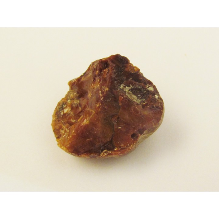 AMBER fossile d'ARCHINGEAY (4)