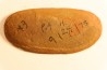Alethopteris aff. serli - carboniferous - Mazon creek - Illinois - USA