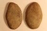 Nodule de fougère: Cyclopteris orbicularis - carbonifère - Mazon creek - Illinois - USA