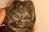 Nodule de fougère: Neuropteris vermicularis - carbonifère - Mazon creek - Illinois - USA