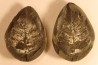Nodule de fougère: Neuropteris vermicularis - carbonifère - Mazon creek - Illinois - USA