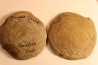 Nodule de fougère: Neuropteris aff. ovata - carbonifère - Mazon creek - Illinois - USA
