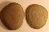 Nodule de fougère: Ciperites bicarinatus - carbonifère - Mazon creek - Illinois - USA
