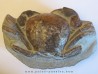 Tumidocarcinus Giganteus