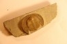 BLIND TRILOBITE: Declivolithus titan - ordovician - Ktaoua Fmt - Jbel Tijarfaiouine, MOROCCO