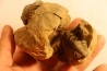 2 Flexicalymene ouzregui - Katien sup. - Jbel Tiskaouine, MAROC