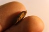 fly insect larva casing - hell creek fmt - Upper cretaceous - Dawson county, Montana - USA