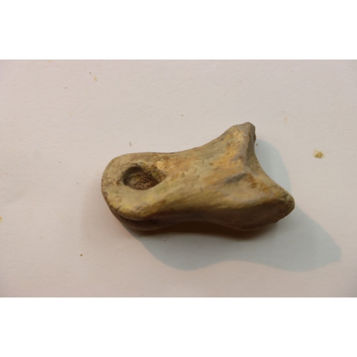 Struthiomimus toe bone - Hell Creek  Fmt -  upper cretaceous  - Perkins County, South Dakota