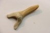 Scapanorhynchus rapax  Maastrichtian  Ben Guerir – MOROCCO