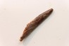 Pterosaur tooth: Siroccopteryx moroccensis