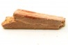 BEC (partiel) DE PTEROSAURE: ALANQA SAHARICA - CENOMANIEN - Kem Kem , MAROC