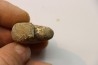 Scaphites reesidei campanien Madagascar