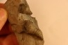 Stereolasma Rectum - Devonian - Windom shale formation - Eric County, New York- USA