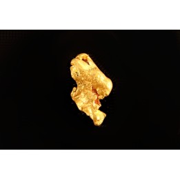 gold nugget - Kalgoorlie, Australia