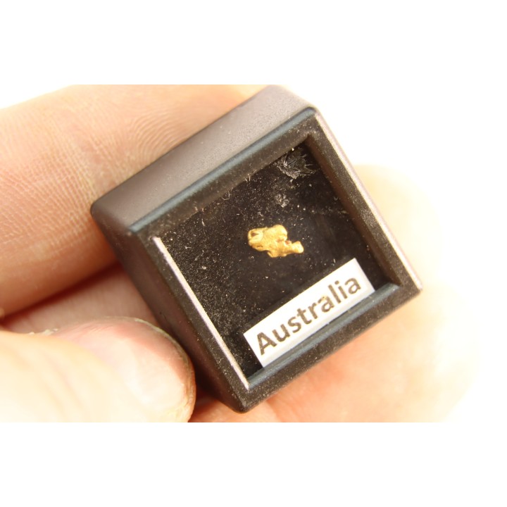 gold nugget - Kalgoorlie, Australia