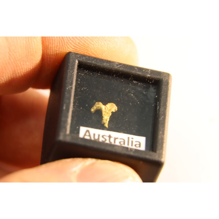 gold nugget - Kalgoorlie, Australia