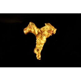 gold nugget - Kalgoorlie, Australia