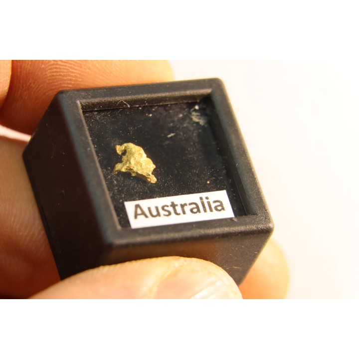 gold nugget - Kalgoorlie, Australia