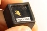gold nugget - Kalgoorlie, Australia