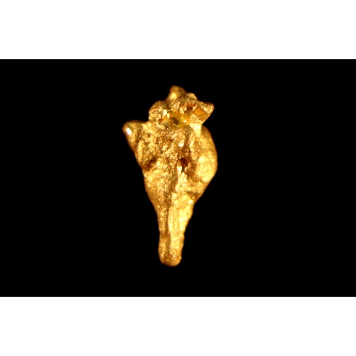gold nugget - Kalgoorlie, Australia
