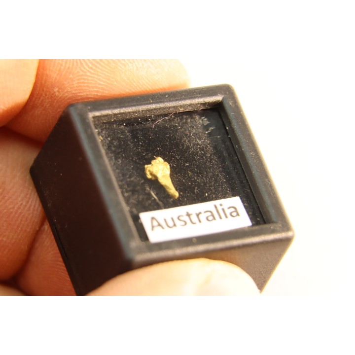 gold nugget - Kalgoorlie, Australia