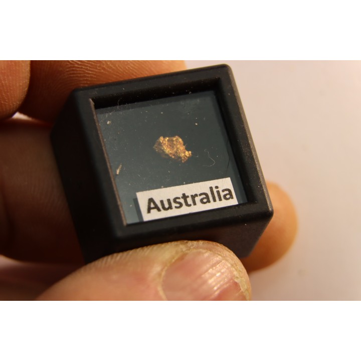 gold nugget - Kalgoorlie, Australia
