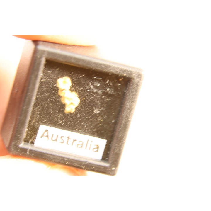 Pepite d'or - Kalgoorlie, Australie