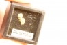 gold nugget - Kalgoorlie, Australia