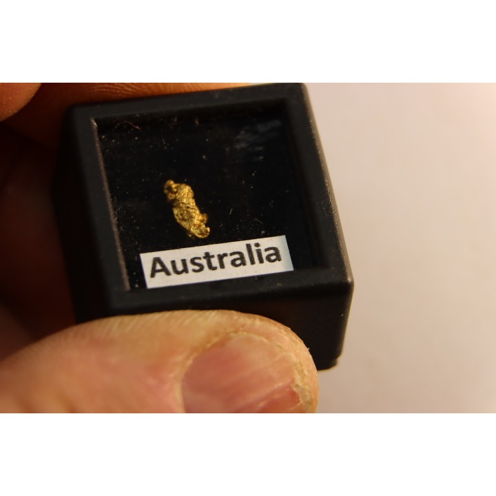 Pepite d'or - Kalgoorlie, Australie