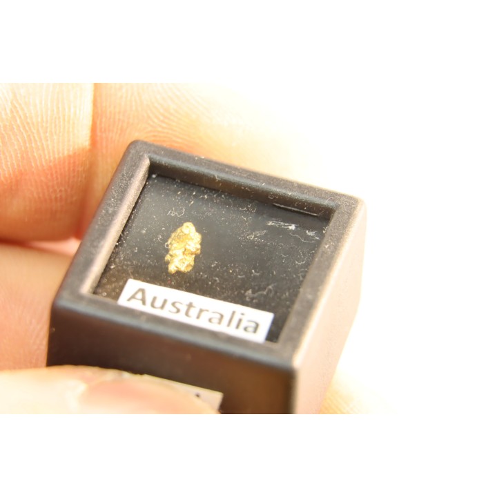 gold nugget - Kalgoorlie, Australia