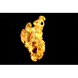 gold nugget - Kalgoorlie, Australia