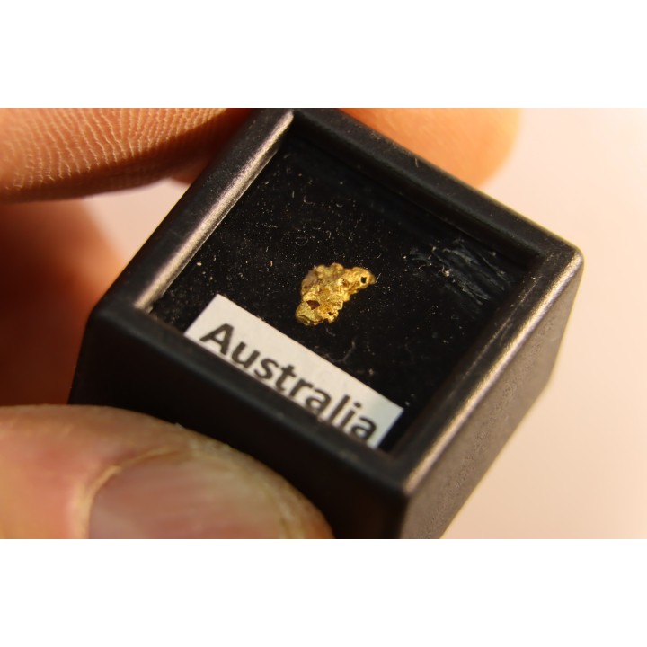 gold nugget - Kalgoorlie, Australia