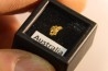 gold nugget - Kalgoorlie, Australia
