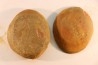 Nodule de fougère: Annularia radiata - carbonifère - Mazon creek - Astoria, Illinois - USA