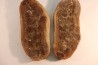 Nodule de fougère: Annularia sphenophylloides - carbonifère - Mazon creek - Coal City, Illinois - USA