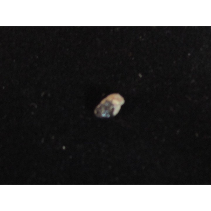 MARS ROCK TISSINT (6) 