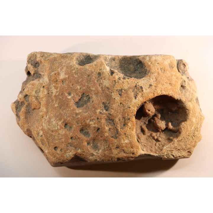 Namacalathus hermanestes & Albumarid Skinnera sp.  Precambrian, Ediacara period, Nama formation  Dish River Canyon, Namibia