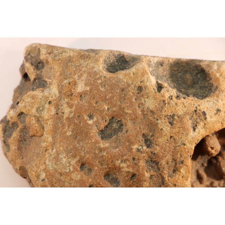 Namacalathus hermanestes & Albumarid Skinnera sp.  Precambrian, Ediacara period, Nama formation  Dish River Canyon, Namibia