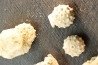 Intéressant set of 6 urchins HEMICIDARIS CRENULARIS oxfordian Novion-Porcien - Ardennes, France