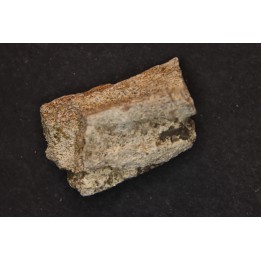 dinosaure freak: TRICERATOPS HORRIDUS